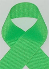 Load image into Gallery viewer, Bowtique Bows on a soft nylon headband