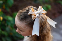 Load image into Gallery viewer, The Araya Hairbow